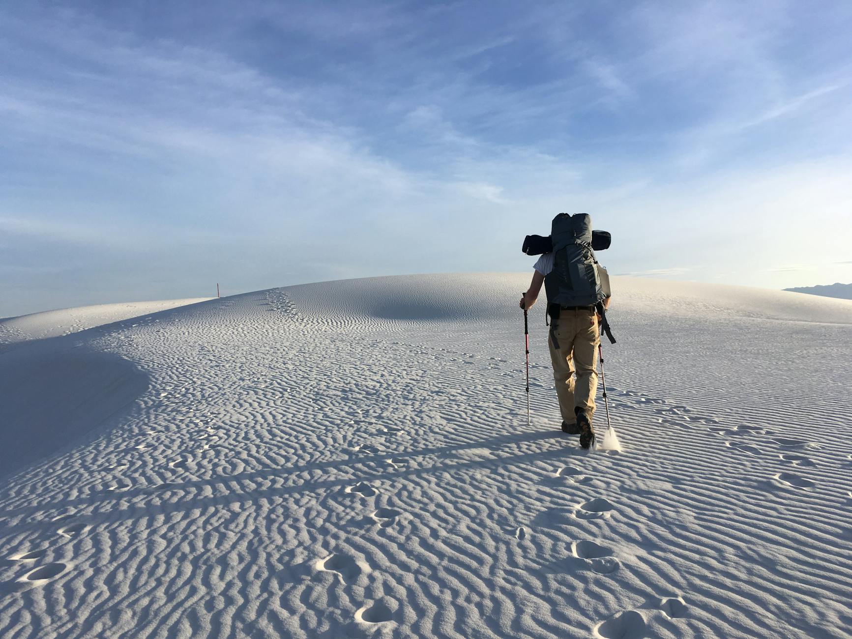 Looking Back to Move Forward