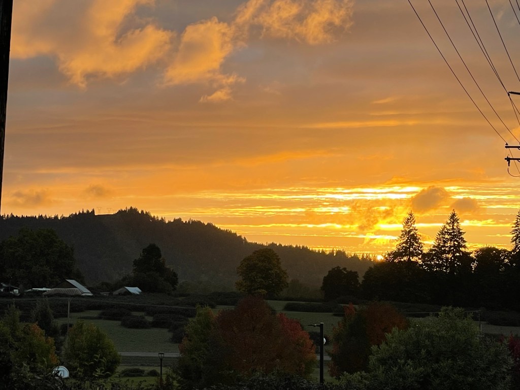 Stranger In My&nbsp;Homelands