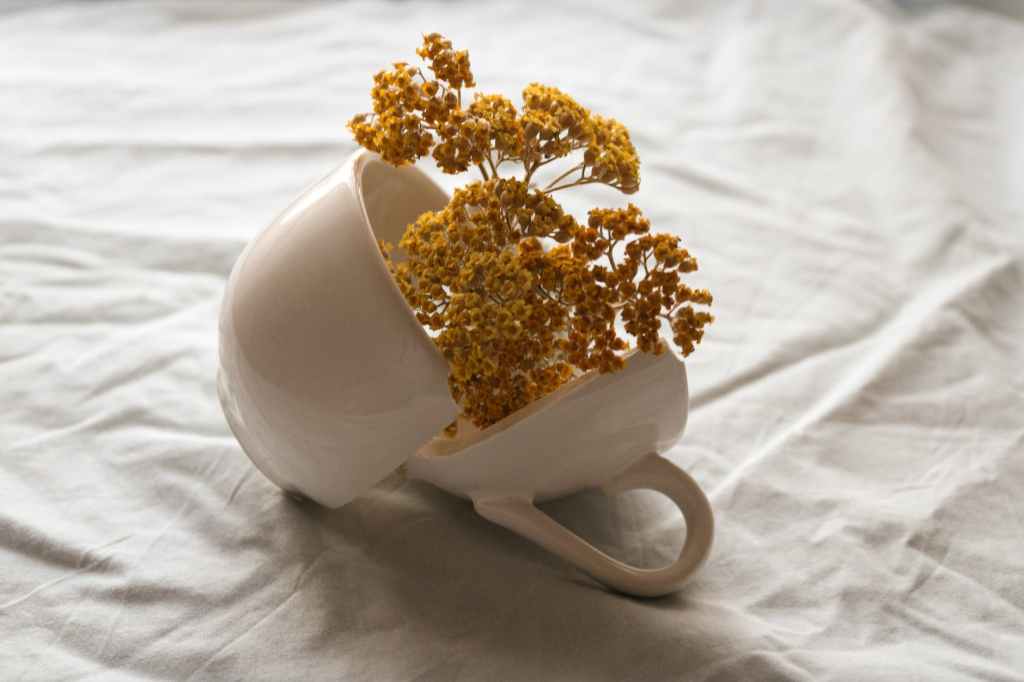 The Art of Psychic&nbsp;Kintsugi