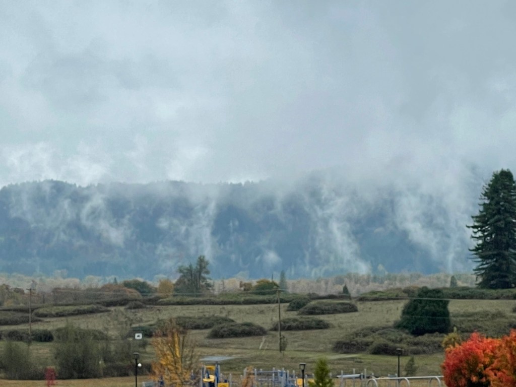 Settling In, Finally