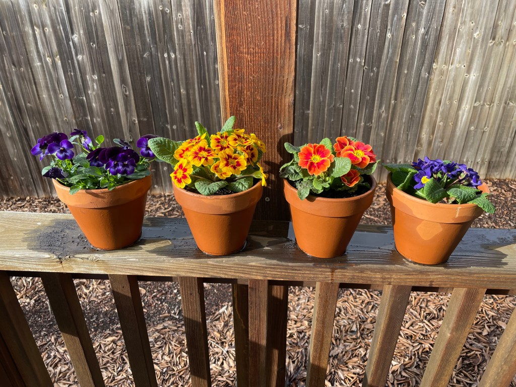 Rekindling the Gardening&nbsp;Spirit