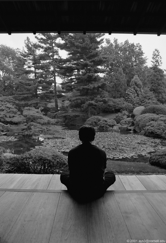 Reasons To Be Cheerful’s “Year in&nbsp;Cheer”